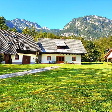 Apartmaji Zupanc Ivanka Bohinj Exteriör bild